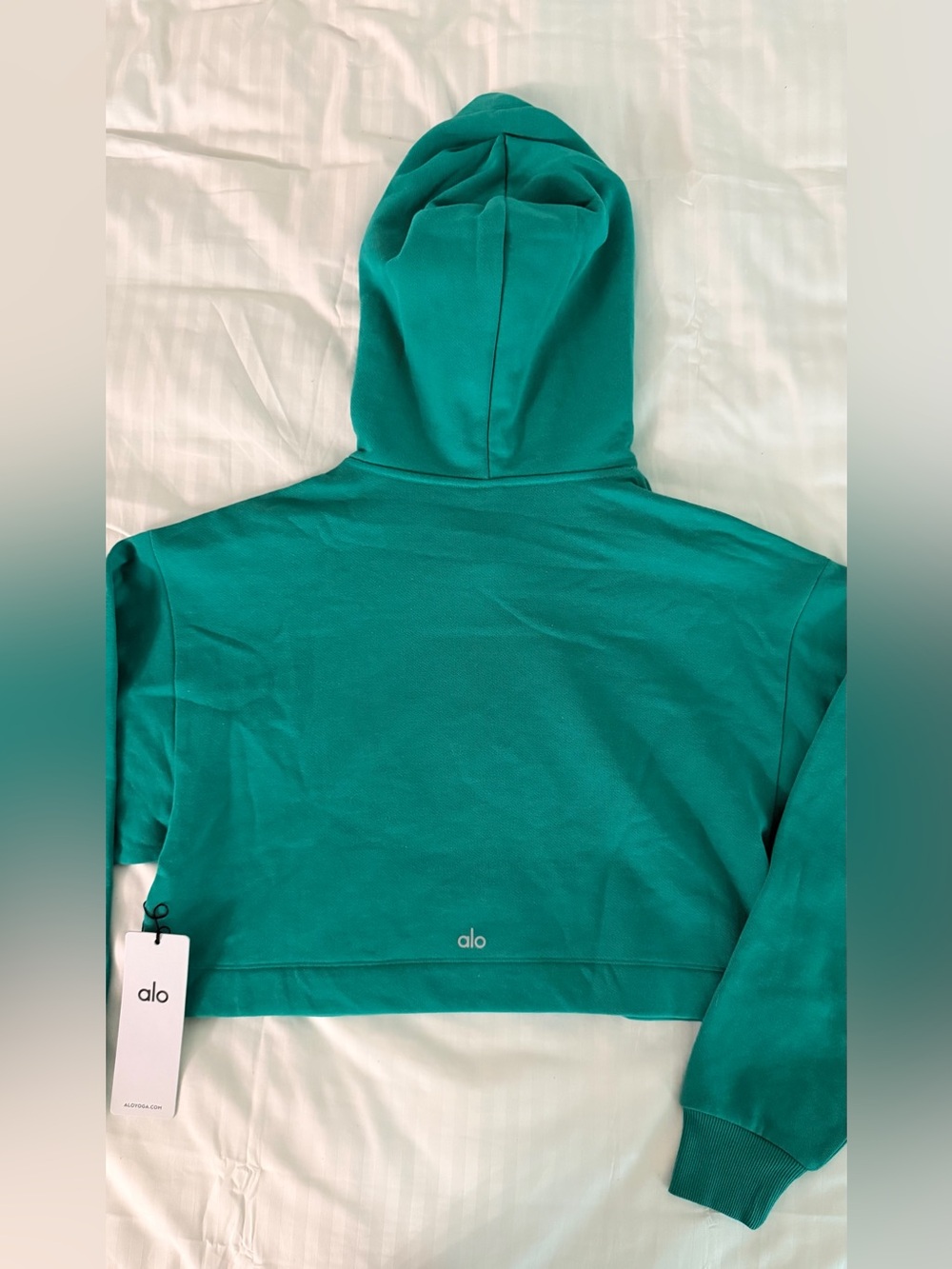 ALO Yoga Bae Hoodie in Spruce Green - Picture 3 of 5